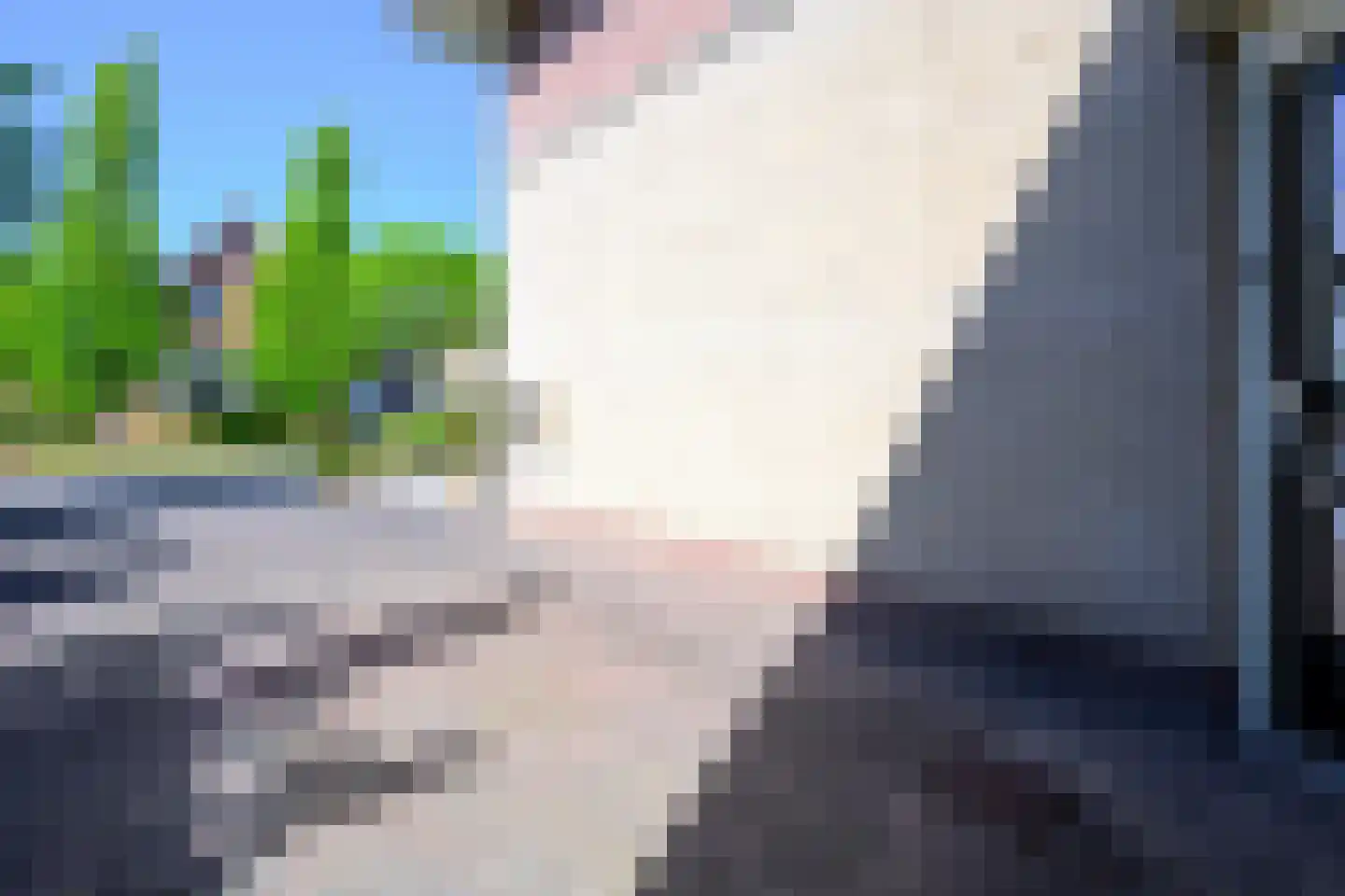 Hoornblad 5 Abbekerk thumbnail 43