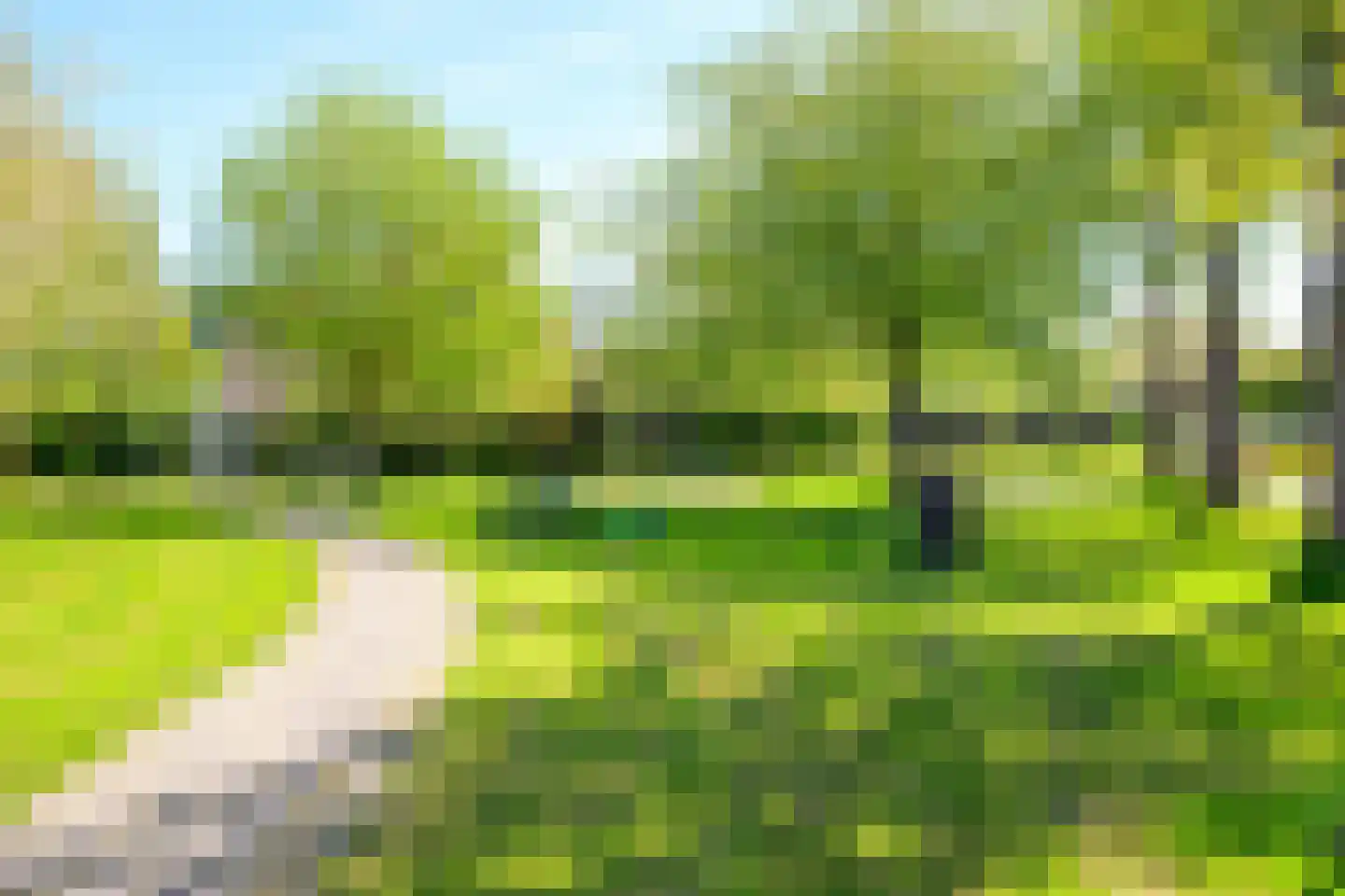 Hoornblad 5 Abbekerk thumbnail 47