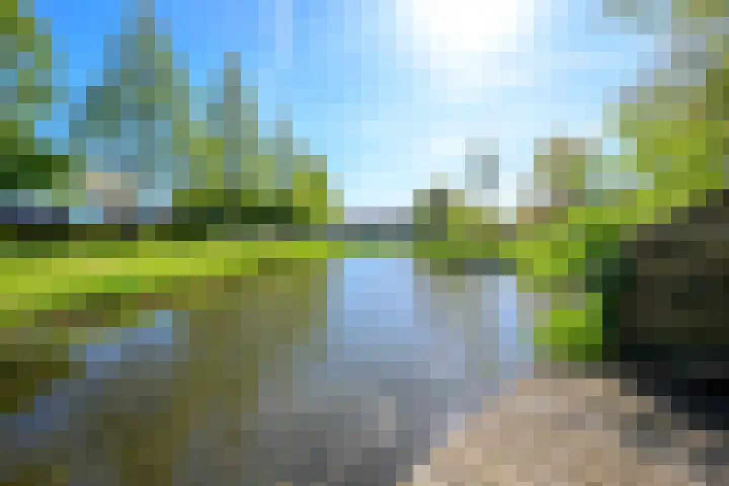 Hoornblad 5 Abbekerk thumbnail 5