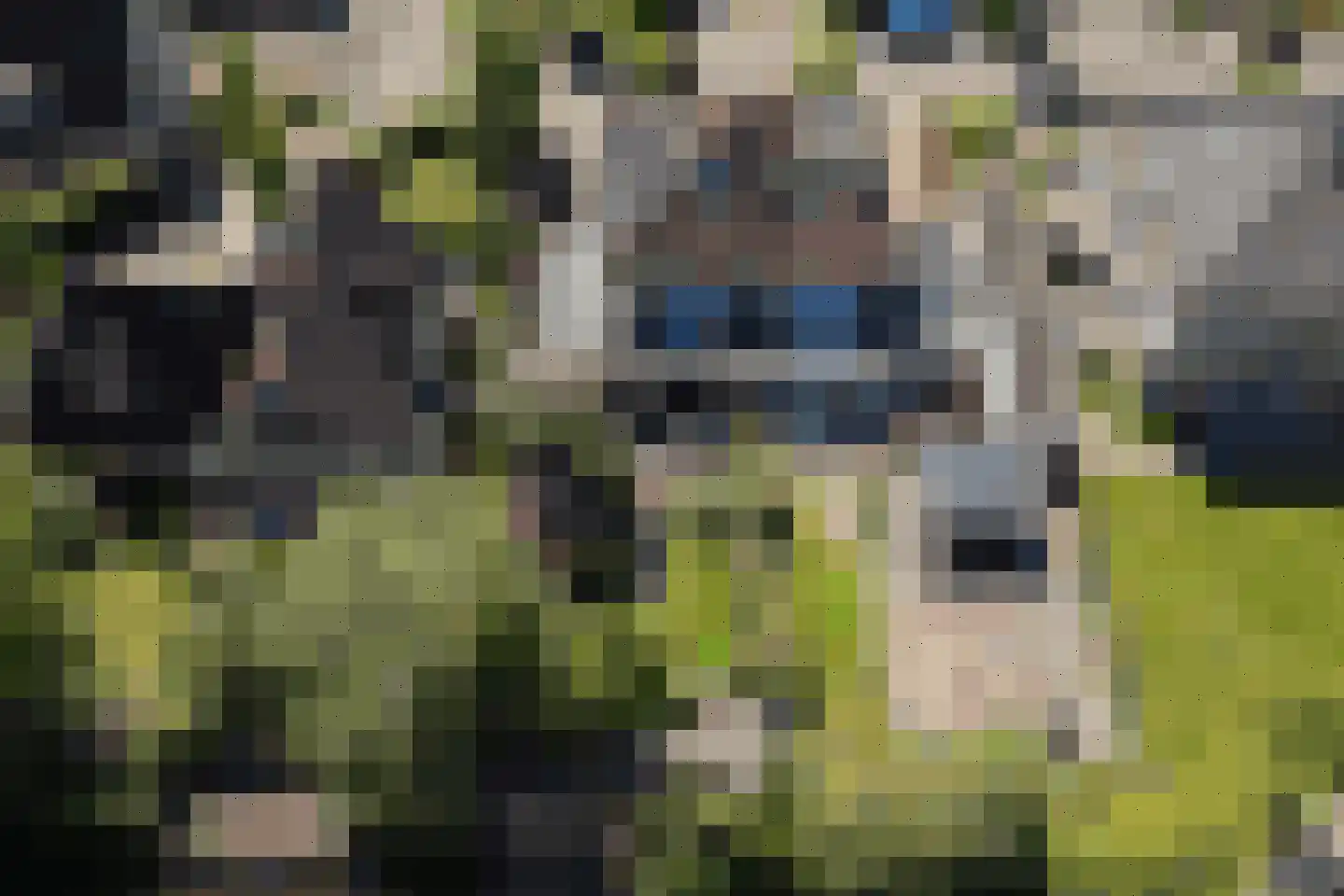 Hoornblad 5 Abbekerk thumbnail 52