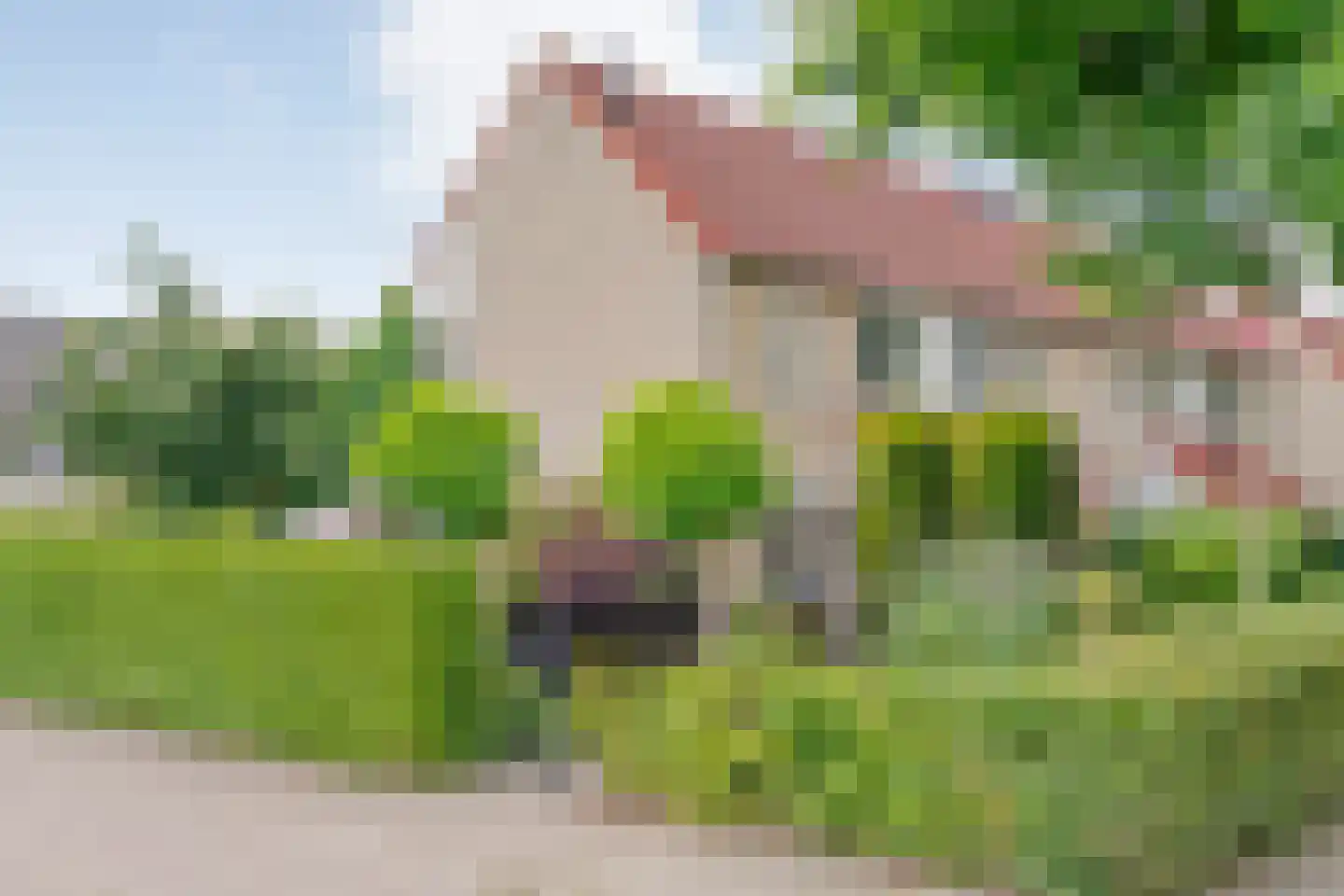 Hoornblad 53 en Hardenberg
