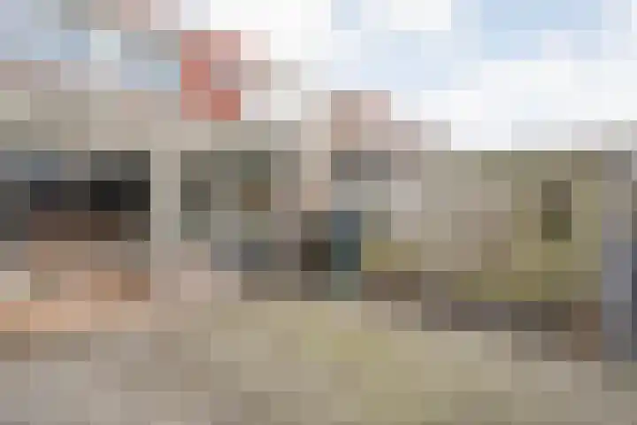 Hoornblad 63 Hardenberg thumbnail 33
