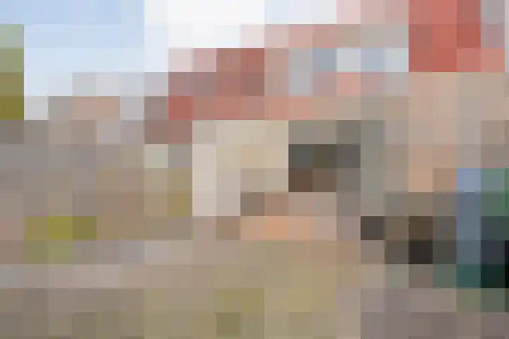 Hoornblad 63 Hardenberg thumbnail 34