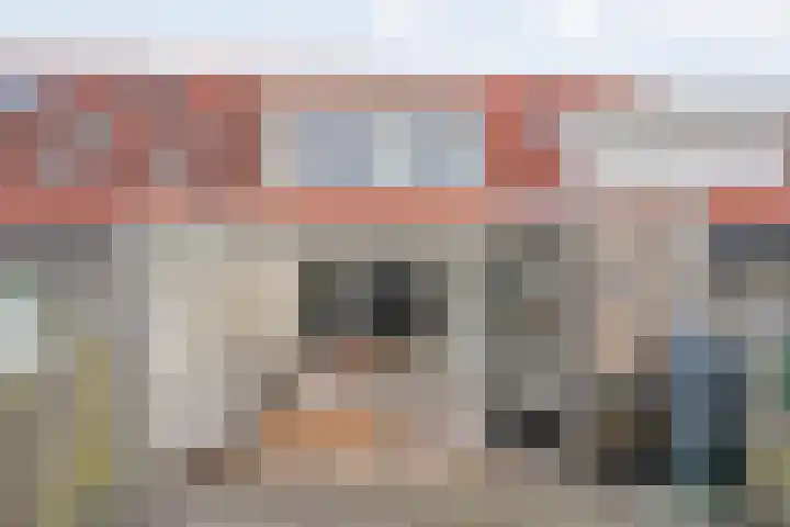 Hoornblad 63 Hardenberg thumbnail 35
