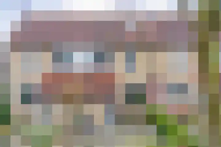 Hoornblad 63 Hardenberg thumbnail 41