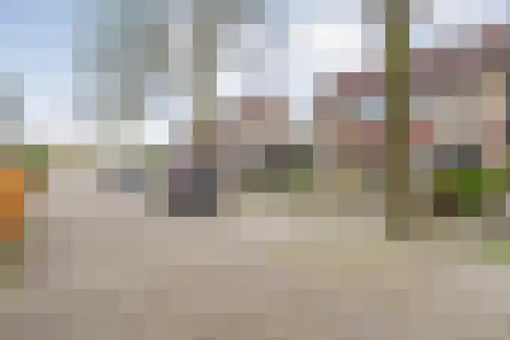 Hoornblad 63 Hardenberg thumbnail 43