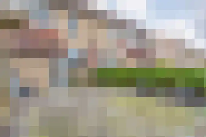 Hoornblad 63 Hardenberg thumbnail 5