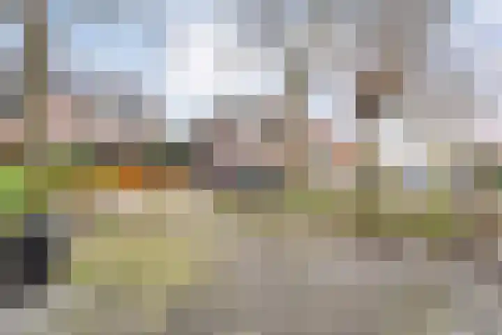Hoornblad 63 Hardenberg thumbnail 6