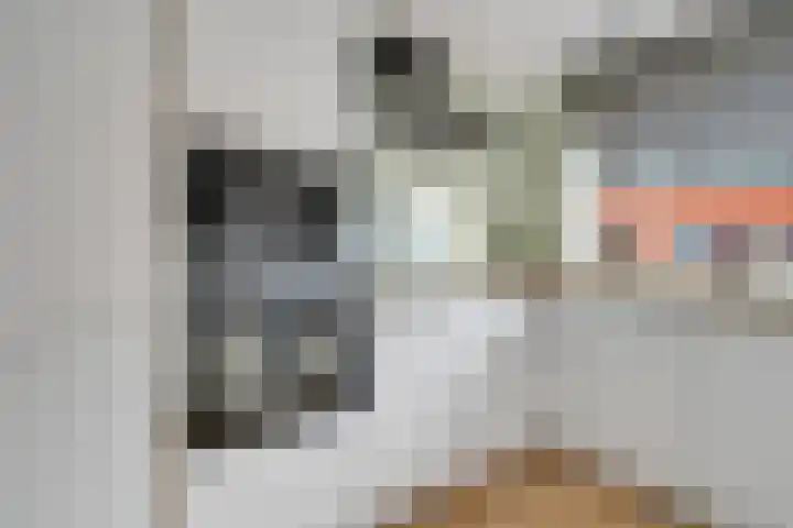 Hoornbladlaan 39 Enschede thumbnail 19