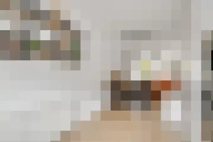 Hoornbladlaan 39 Enschede thumbnail 22