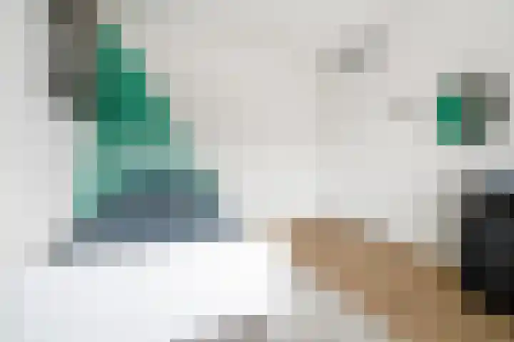 Hoornbladlaan 39 Enschede thumbnail 34