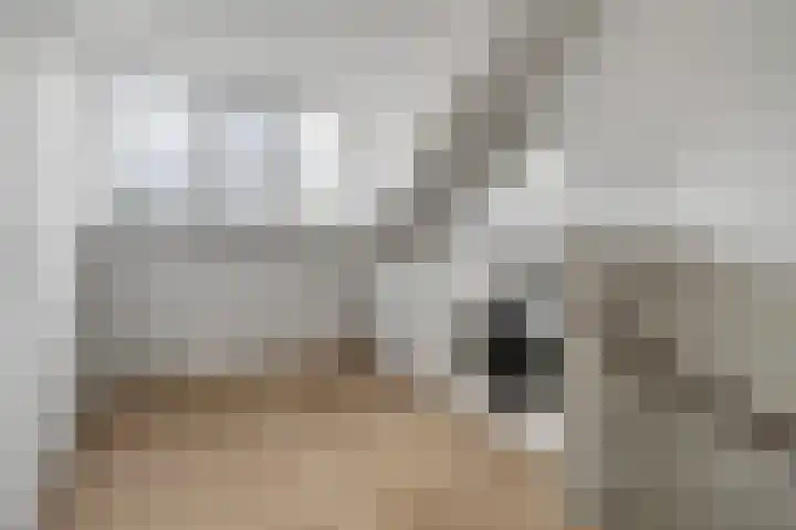 Hoornbladlaan 39 Enschede thumbnail 35