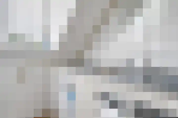 Hoornbladlaan 39 Enschede thumbnail 36