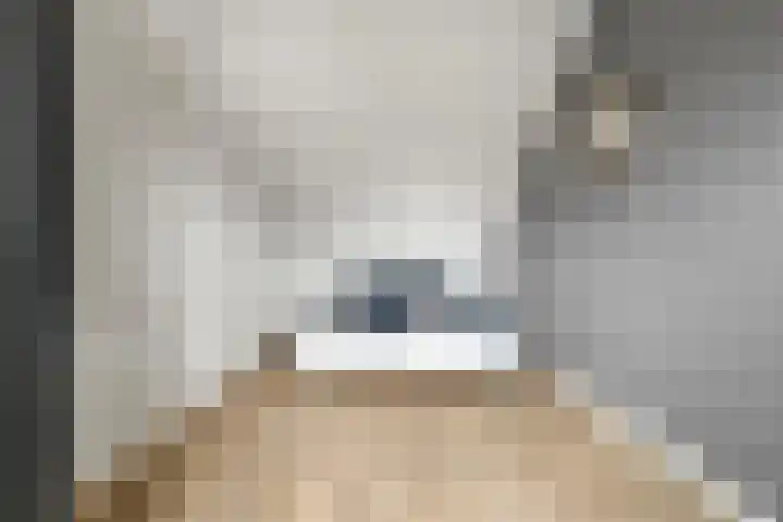 Hoornbladlaan 39 Enschede thumbnail 37