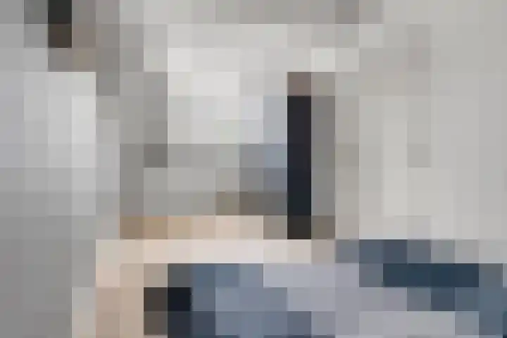 Hoornbladlaan 39 Enschede thumbnail 38