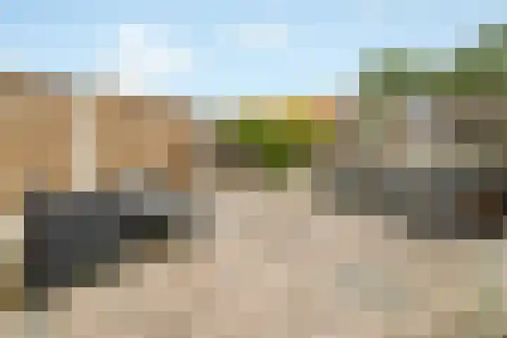 Hoornbladlaan 39 Enschede thumbnail 40