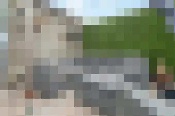 Hoornbladlaan 39 Enschede thumbnail 42
