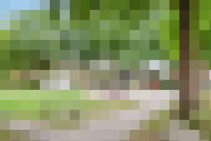 Hoornbladlaan 39 Enschede thumbnail 46