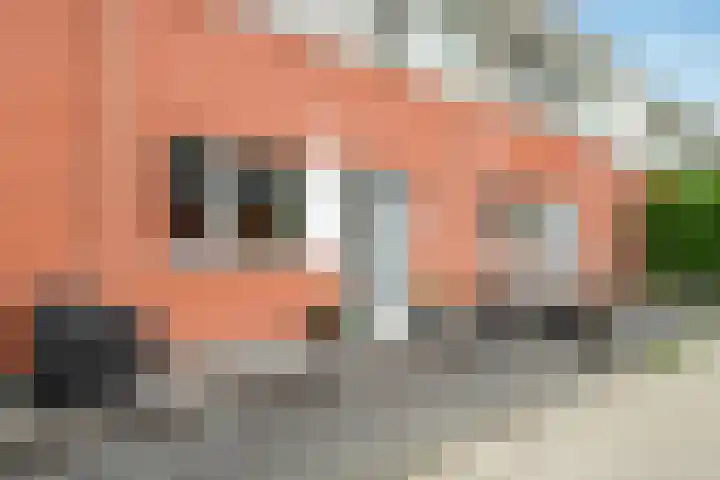 Hoornbladlaan 39 Enschede thumbnail 6