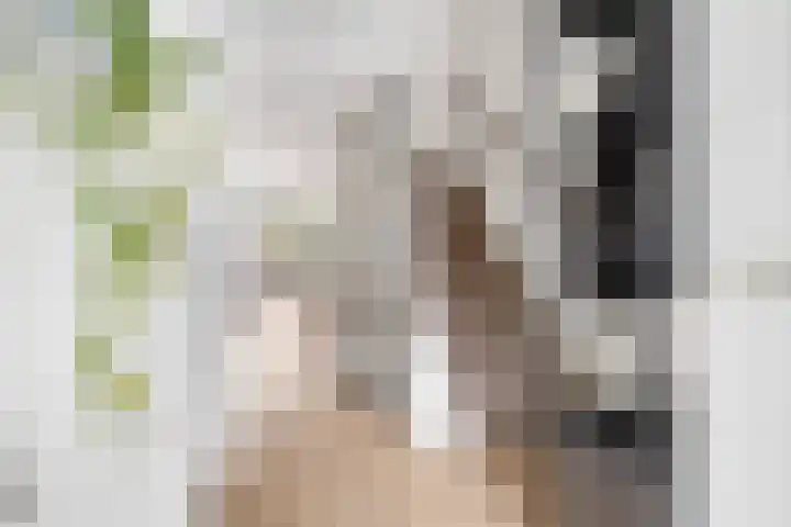 Hoornbladlaan 39 Enschede thumbnail 8