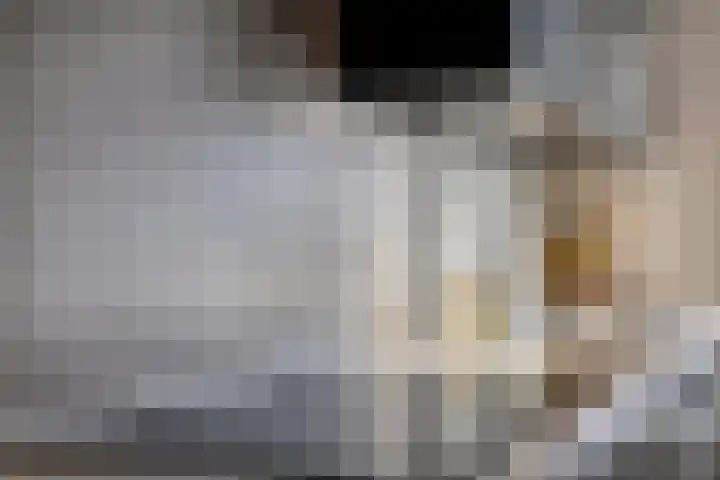 Hoornbladstraat 17 Arnhem thumbnail 19
