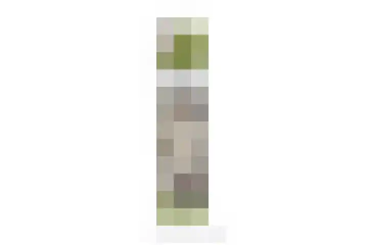 Hoornbladstraat 22 Arnhem thumbnail 38