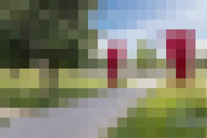 Hoornbladstraat 23 Arnhem thumbnail 53