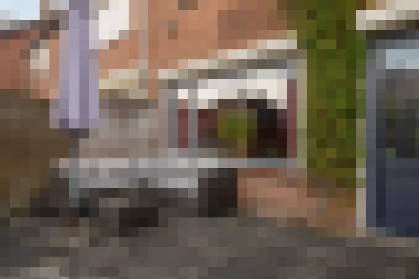 Hoornblendedijk 25 Roosendaal thumbnail 29