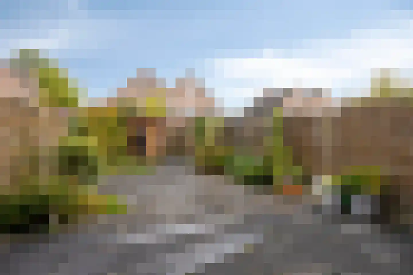 Hoornblendedijk 25 Roosendaal foto 3