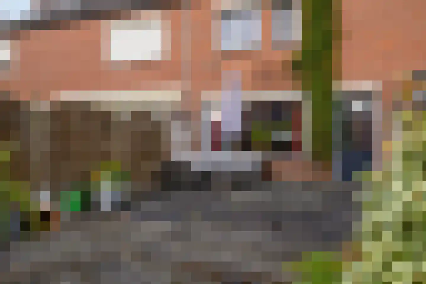Hoornblendedijk 25 Roosendaal thumbnail 30
