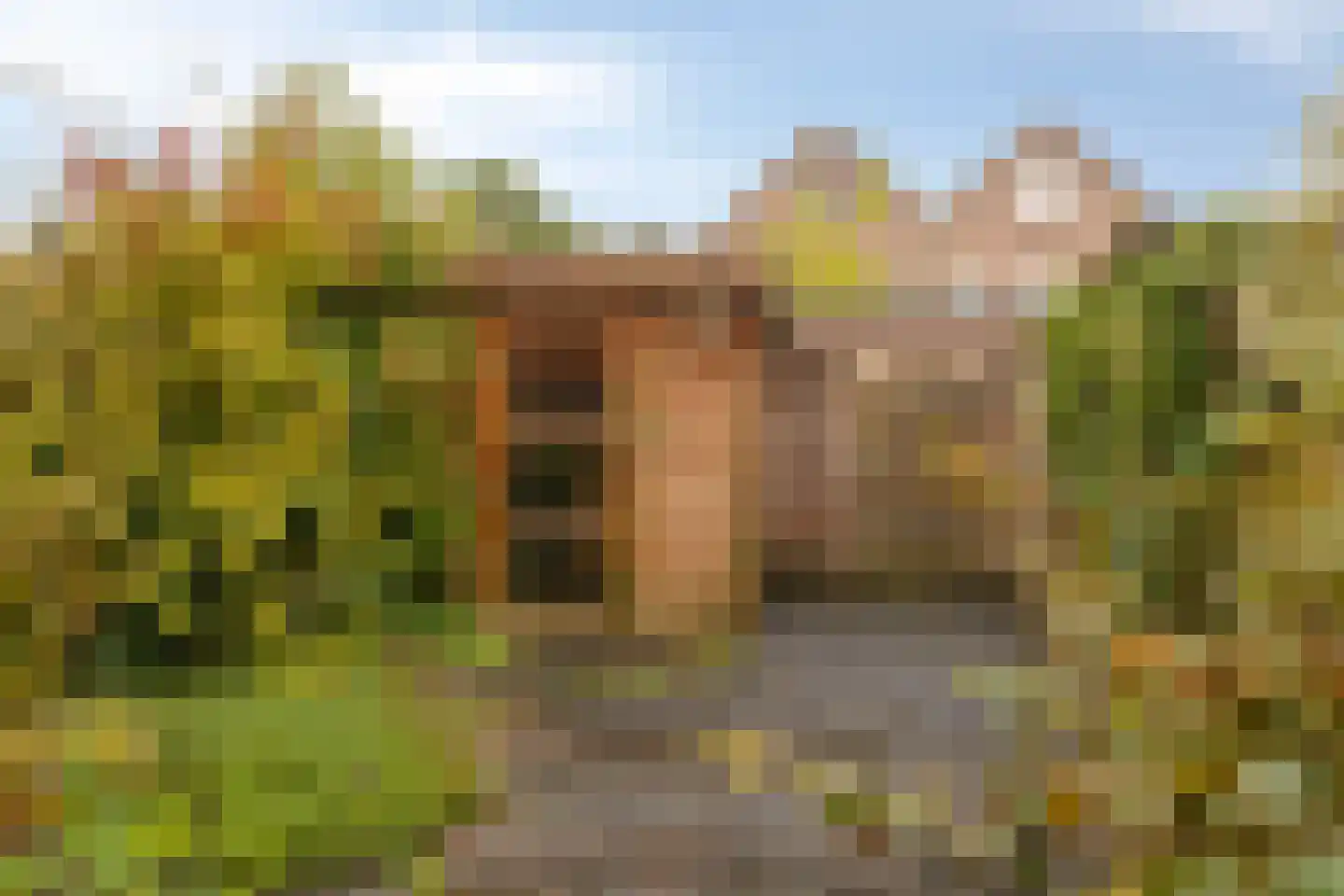 Hoornblendedijk 25 Roosendaal thumbnail 32
