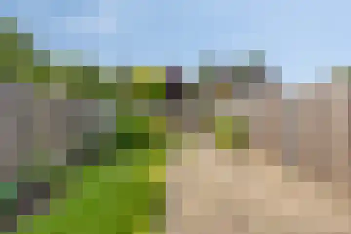 Hoornblendedijk 7 Roosendaal thumbnail 24