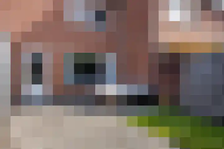 Hoornblendedijk 7 Roosendaal thumbnail 25