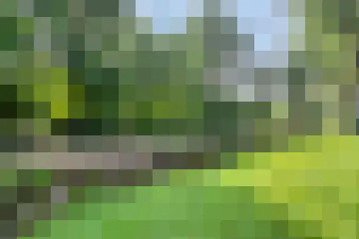 Hoornblendedijk 7 Roosendaal thumbnail 32