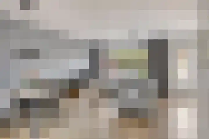 Hoornblendedijk 7 Roosendaal thumbnail 4