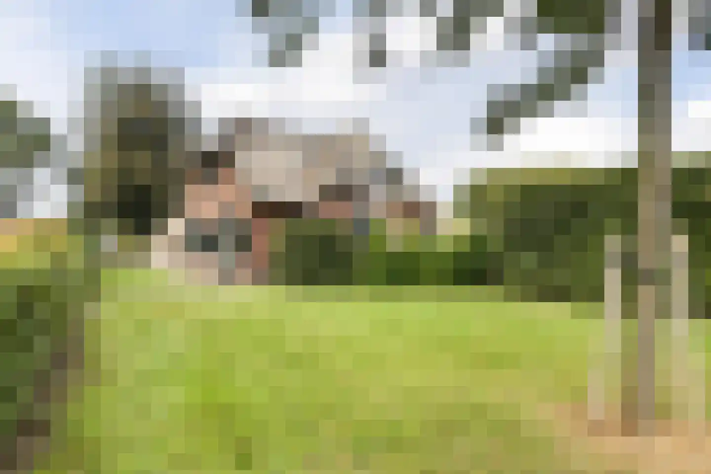 Hoornbloem 10 Nijverdal thumbnail 11