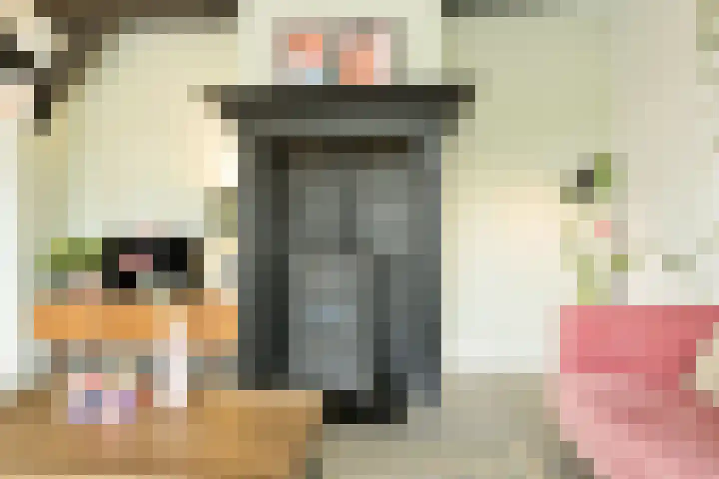 Hoornbloem 10 Nijverdal thumbnail 17