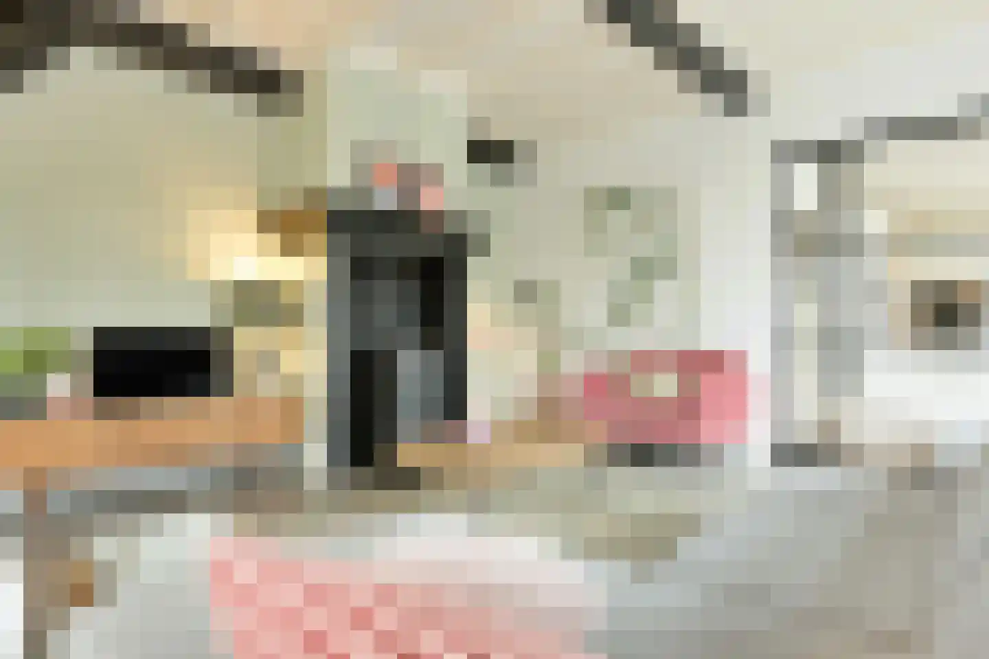 Hoornbloem 10 Nijverdal thumbnail 18