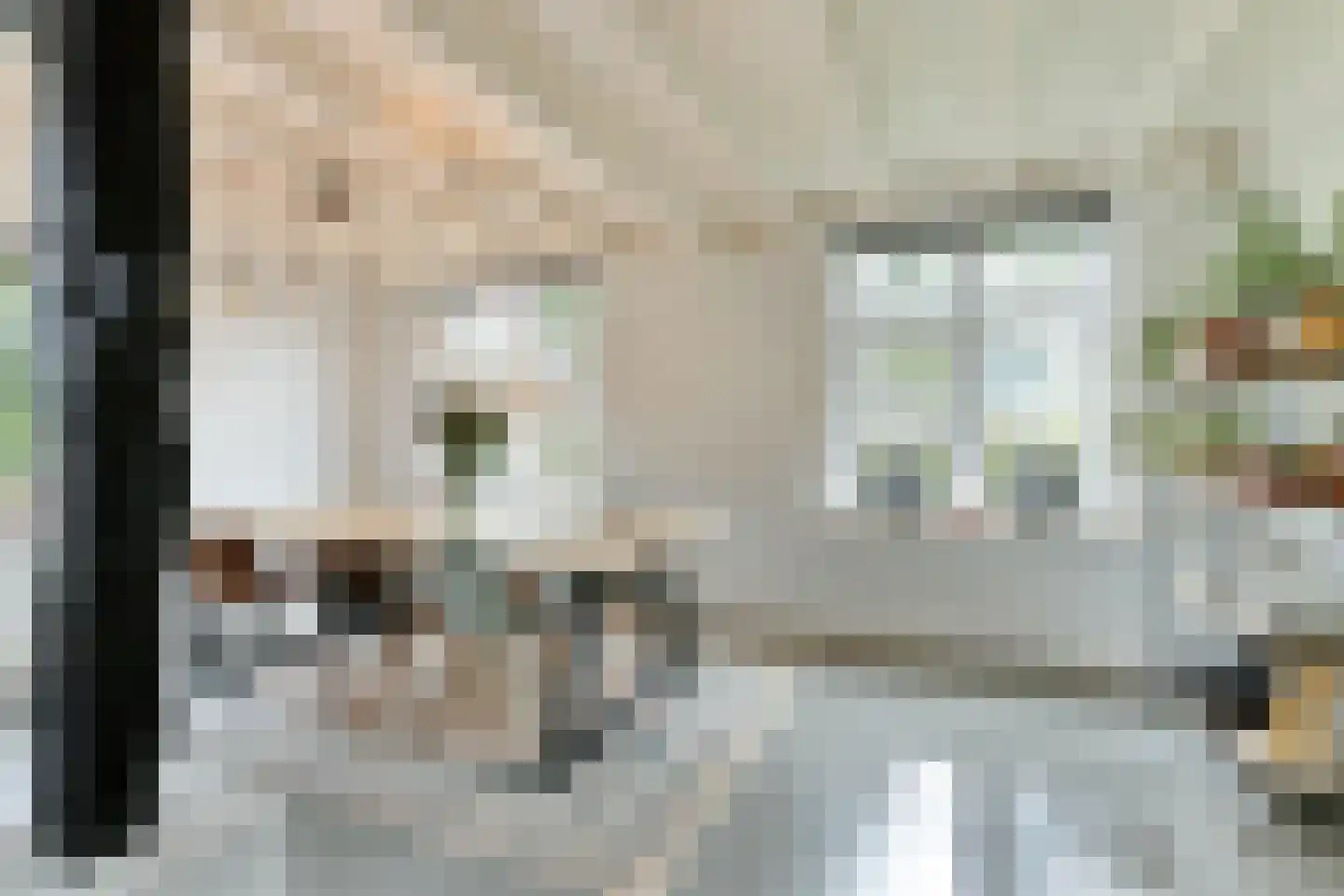 Hoornbloem 10 Nijverdal thumbnail 19