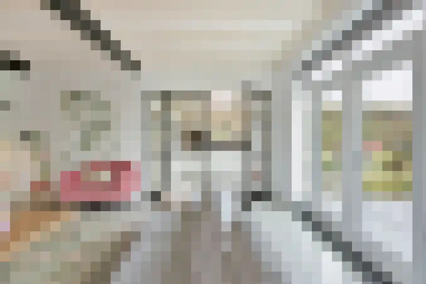 Hoornbloem 10 Nijverdal thumbnail 20