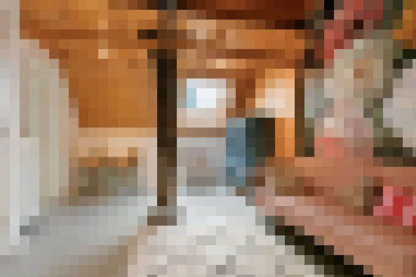 Hoornbloem 10 Nijverdal thumbnail 23