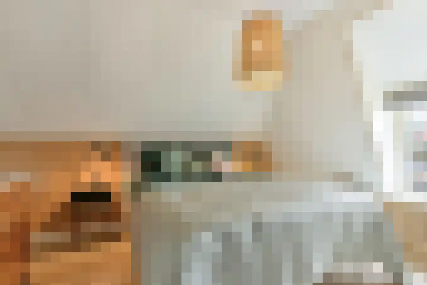 Hoornbloem 10 Nijverdal thumbnail 30