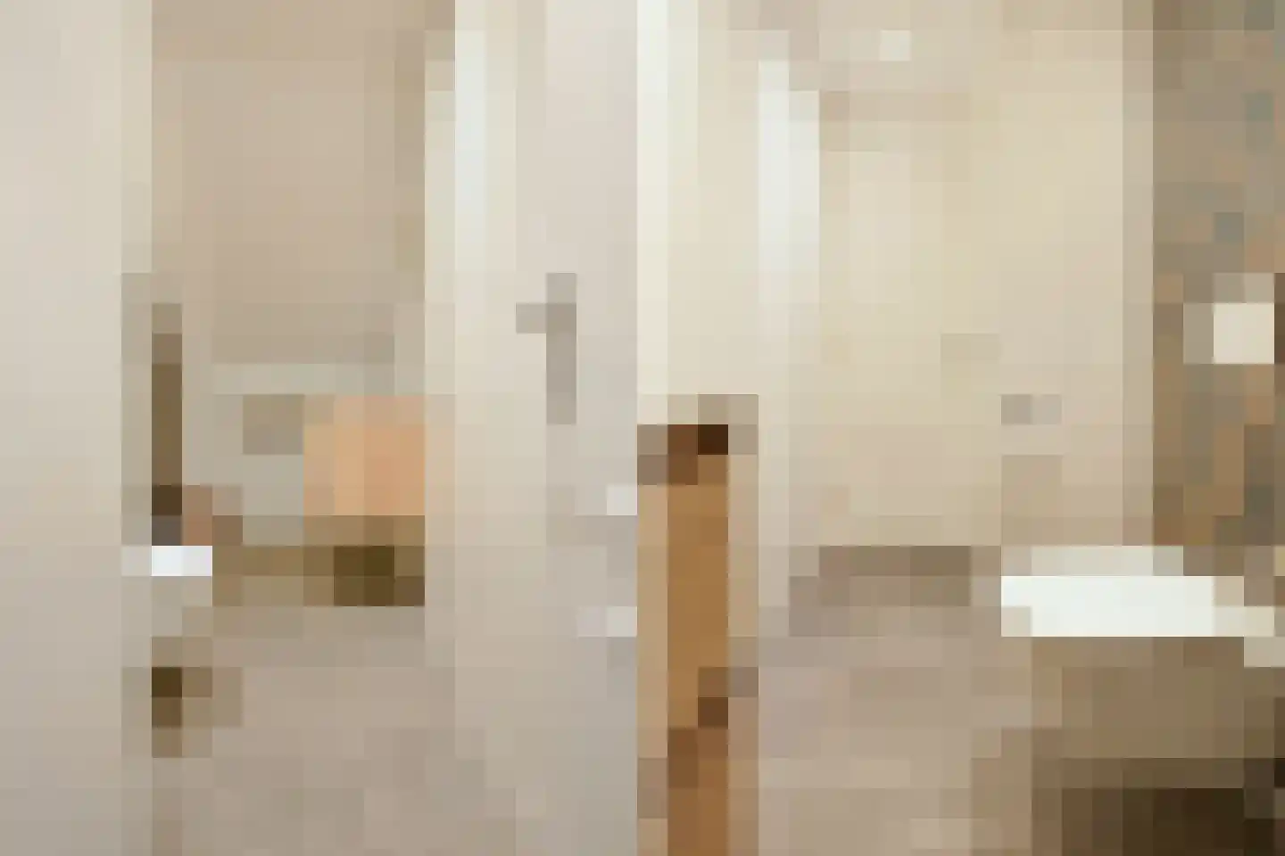 Hoornbloem 10 Nijverdal thumbnail 33