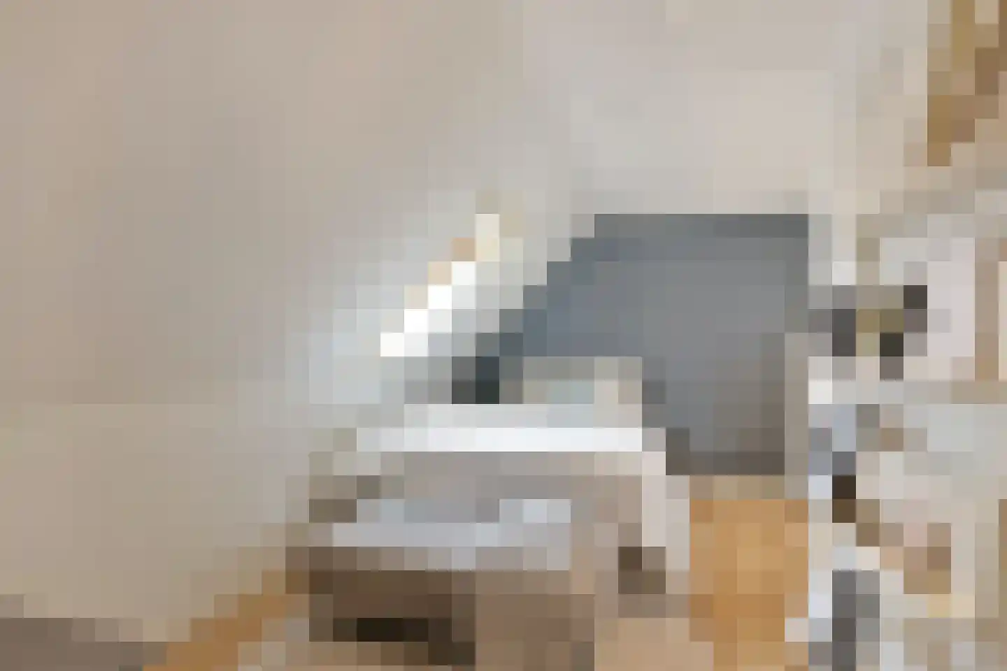 Hoornbloem 10 Nijverdal thumbnail 34