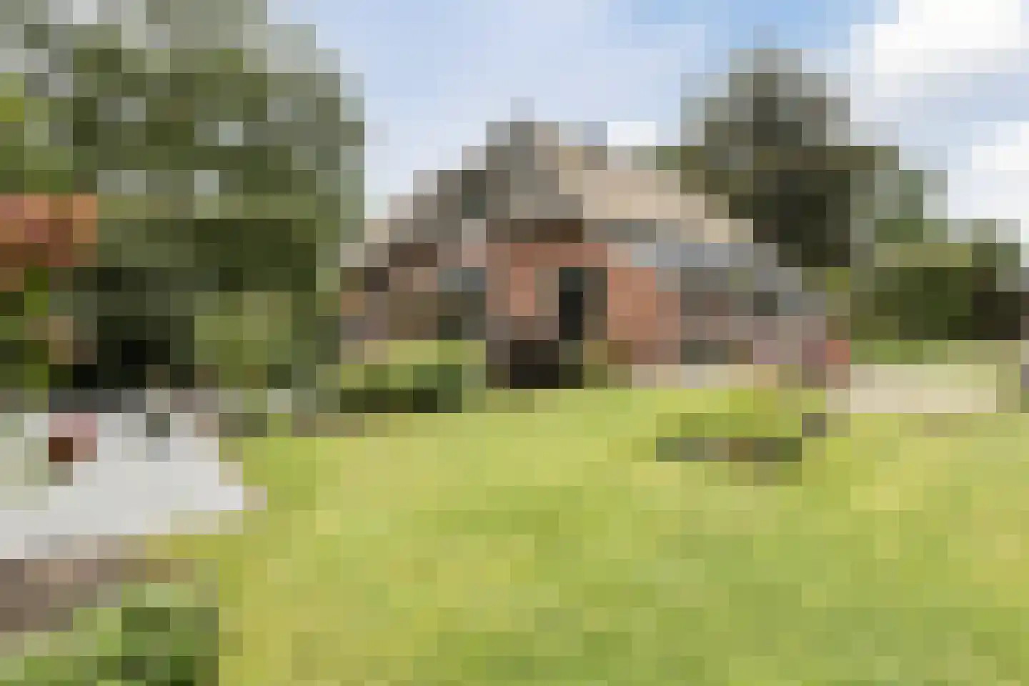 Hoornbloem 10 Nijverdal thumbnail 4
