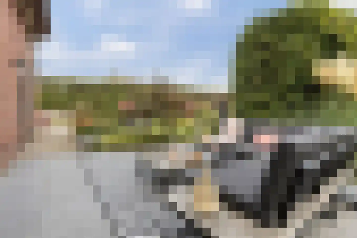 Hoornbloem 10 Nijverdal thumbnail 43