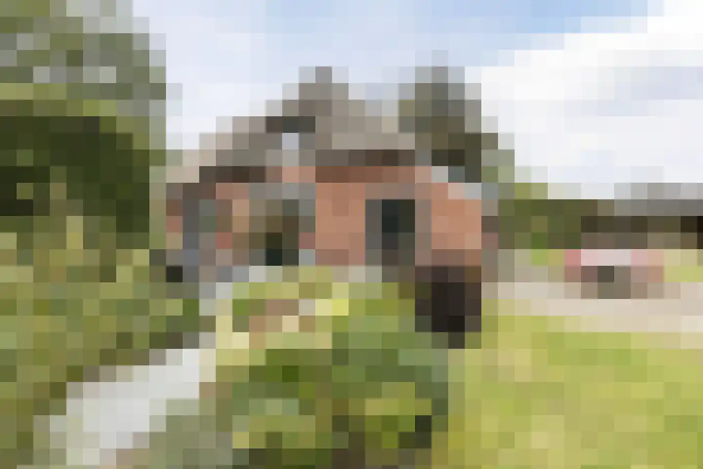 Hoornbloem 10 Nijverdal thumbnail 45
