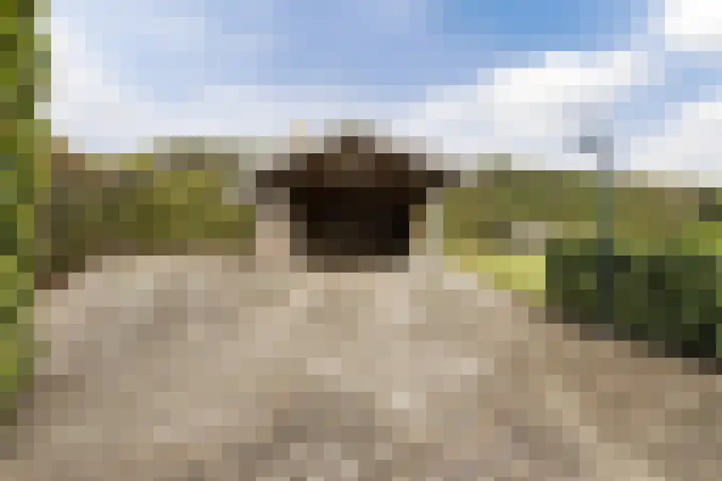 Hoornbloem 10 Nijverdal thumbnail 47