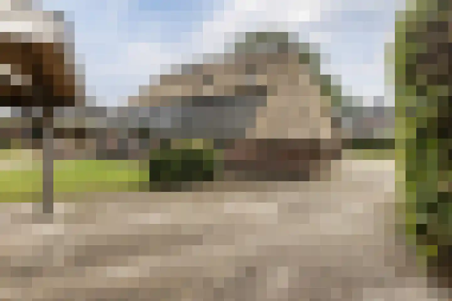 Hoornbloem 10 Nijverdal thumbnail 48