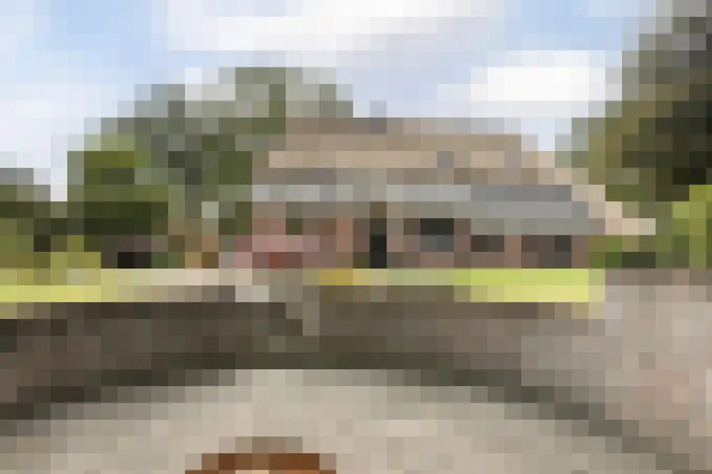 Hoornbloem 10 Nijverdal thumbnail 51
